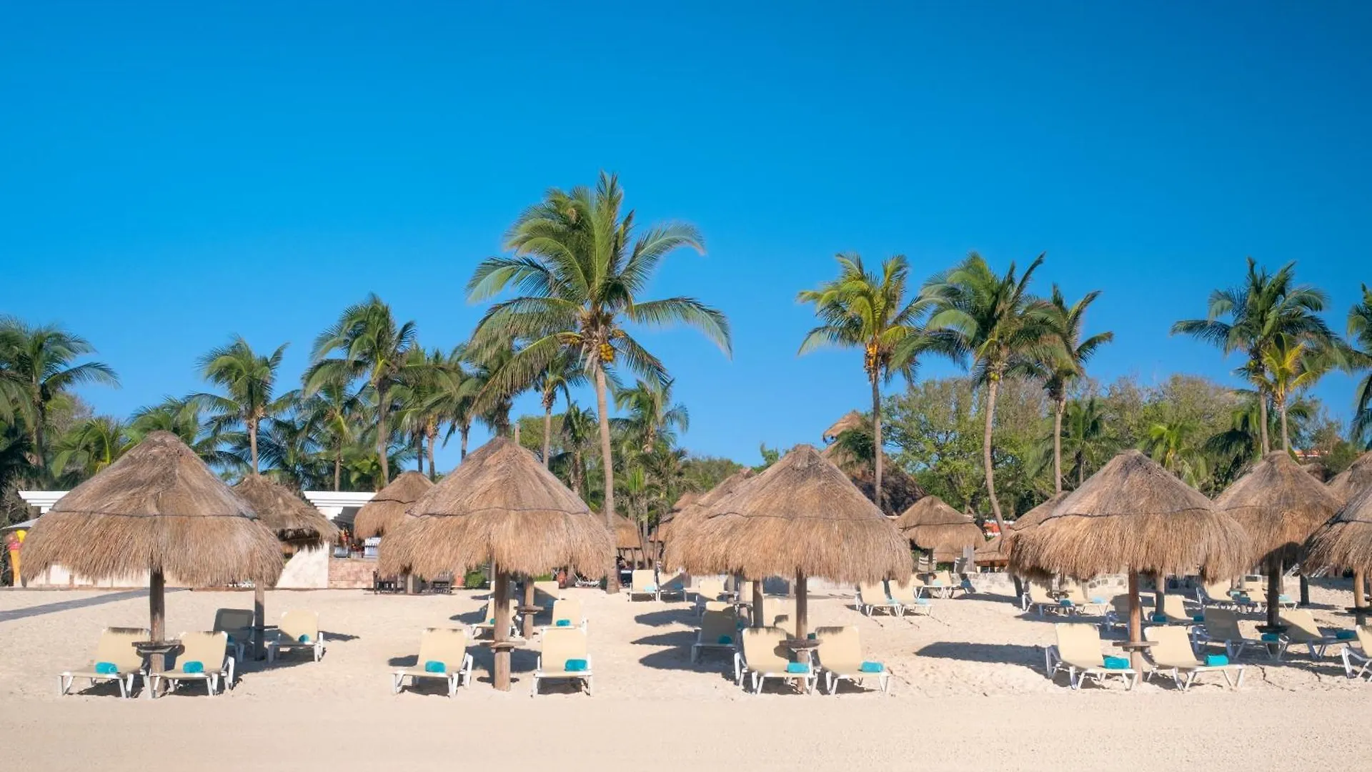 Resort Iberostar Waves Quetzal Hotel Playa del Carmen